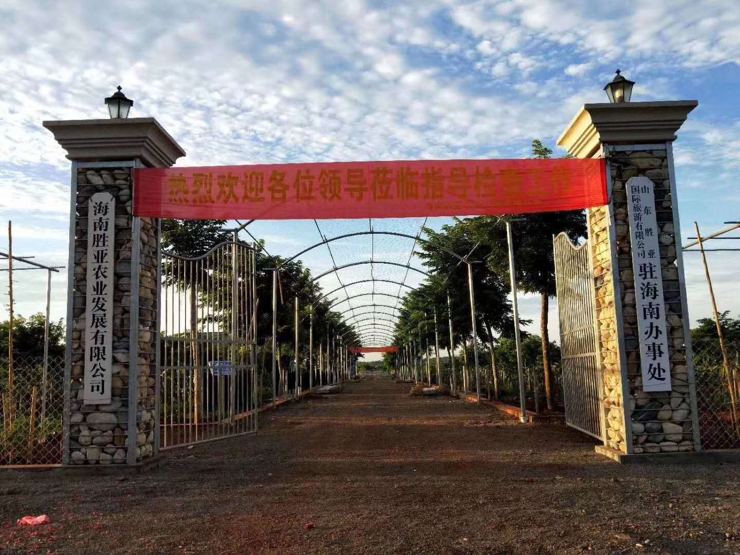 欢迎临高县委组织优秀党员来我海南黄花梨基地参观调研